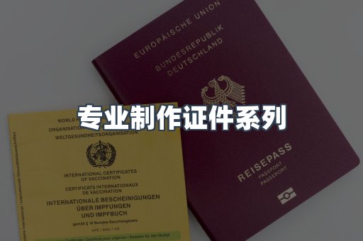 专业制作证件系列